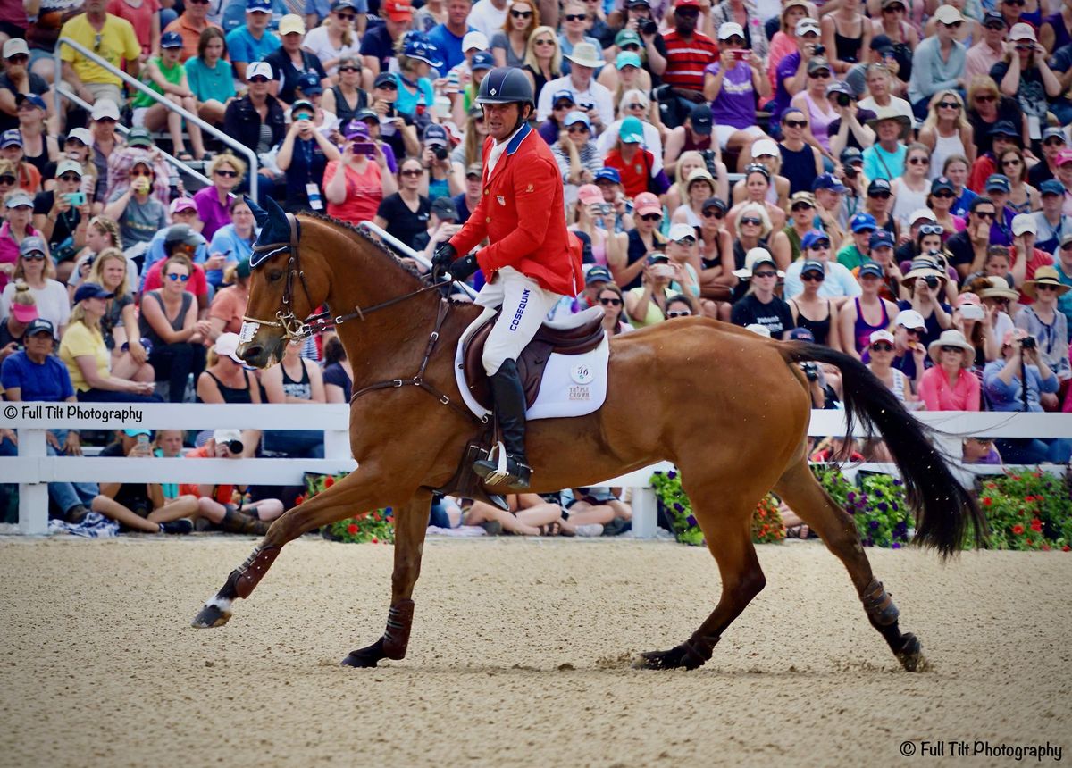 Warm Up Strategies for Show Jumping