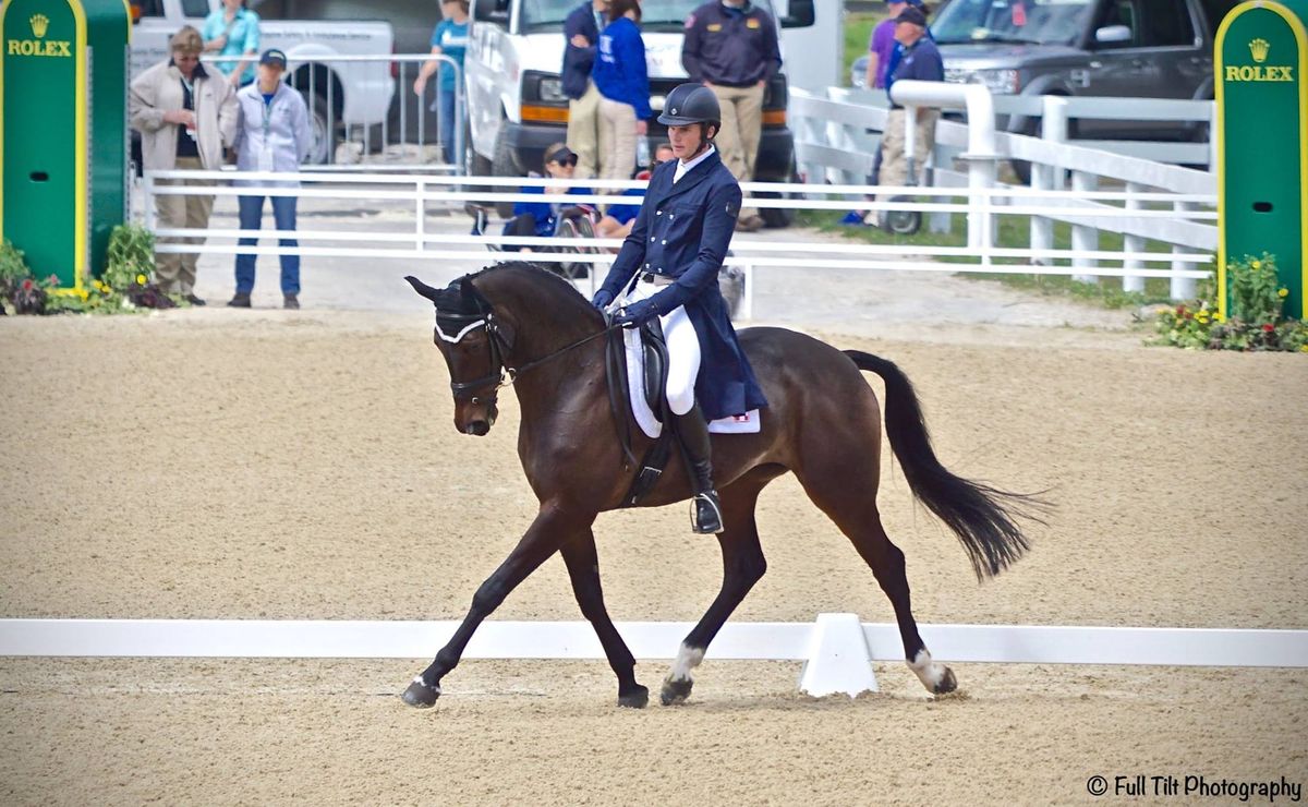An Exercise to Improve Your Horse's Carriage in the Dressage Ring