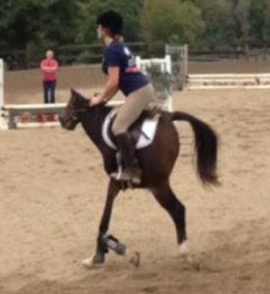 The Short Backed Horse