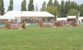 Does Your Horse (or You) Lose Confidence in Triple Combinations? Give This Exercise a Try!