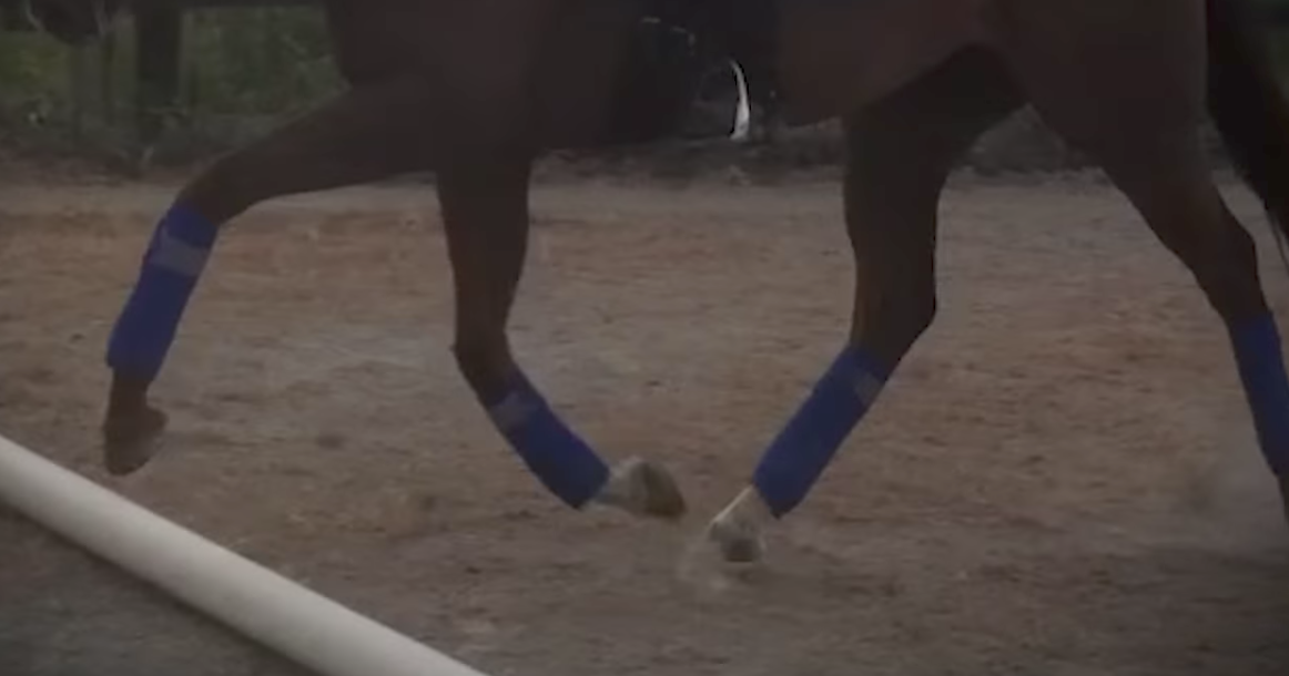 Advanced Trot Pole Exercise # 2