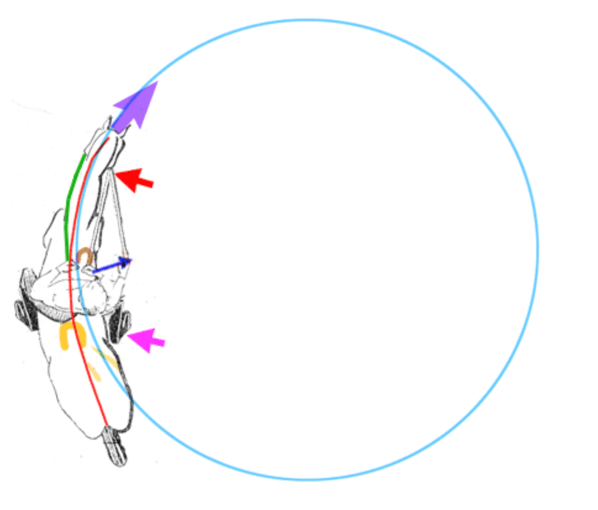 All About the Volte!