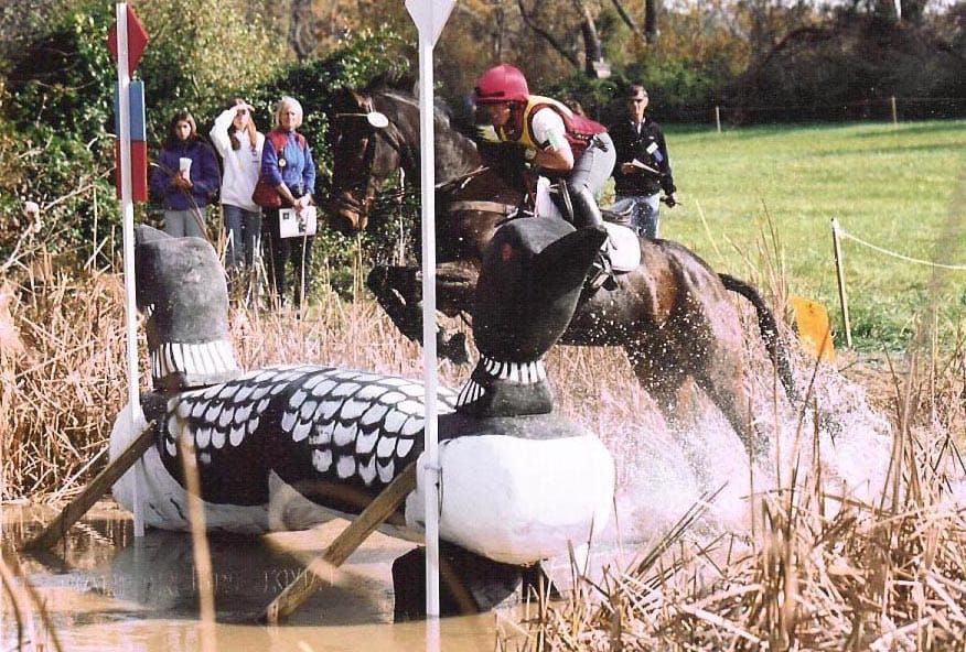 Jumping From Water to Water