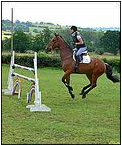 An Exercise to Teach You to Wait For Your Horse to Jump