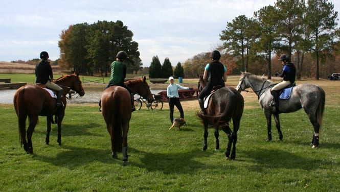 Getting the Most Out of Riding in Clinics