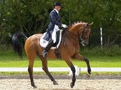 Introducing Flying Changes