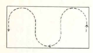 An Exercise to Help You Ride More Fluidly Forward on Circles and Serpentines