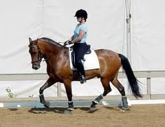 An Exercise to Improve Your Ability to Sit the Trot