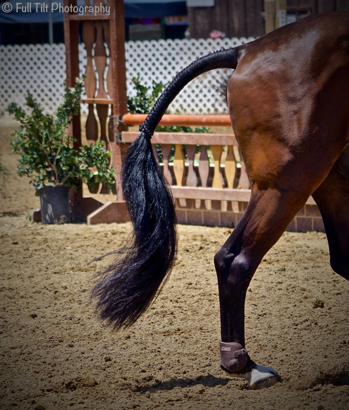 The Tail Tells the Story