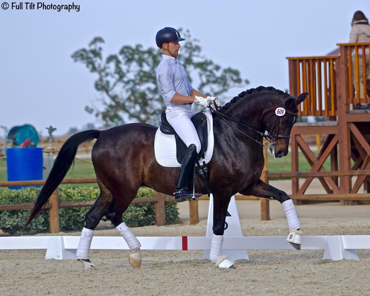 An Exercise to Improve Your Ability to Sit the Trot