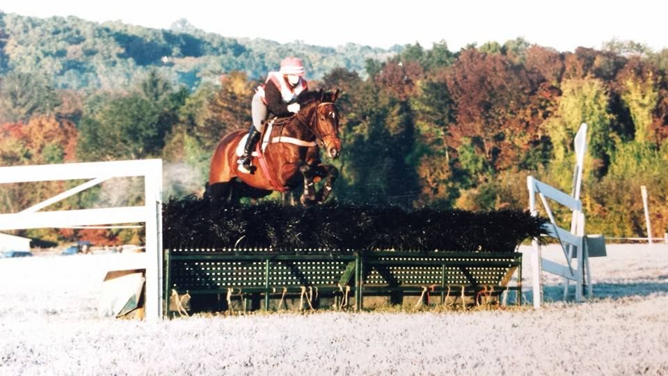 Steeplechase!  (Current freebie!)
