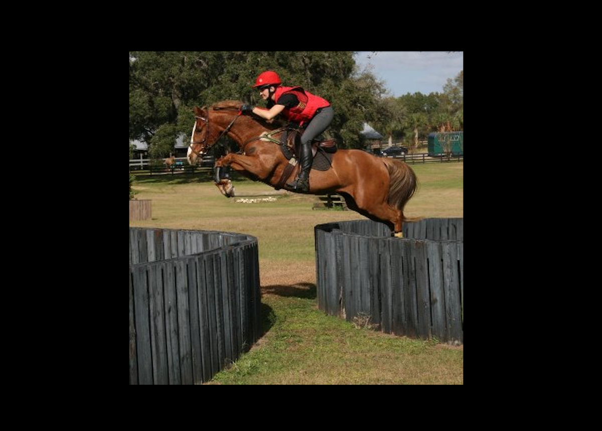 Discussion # 55: How would you ride this unusual cross country fence?