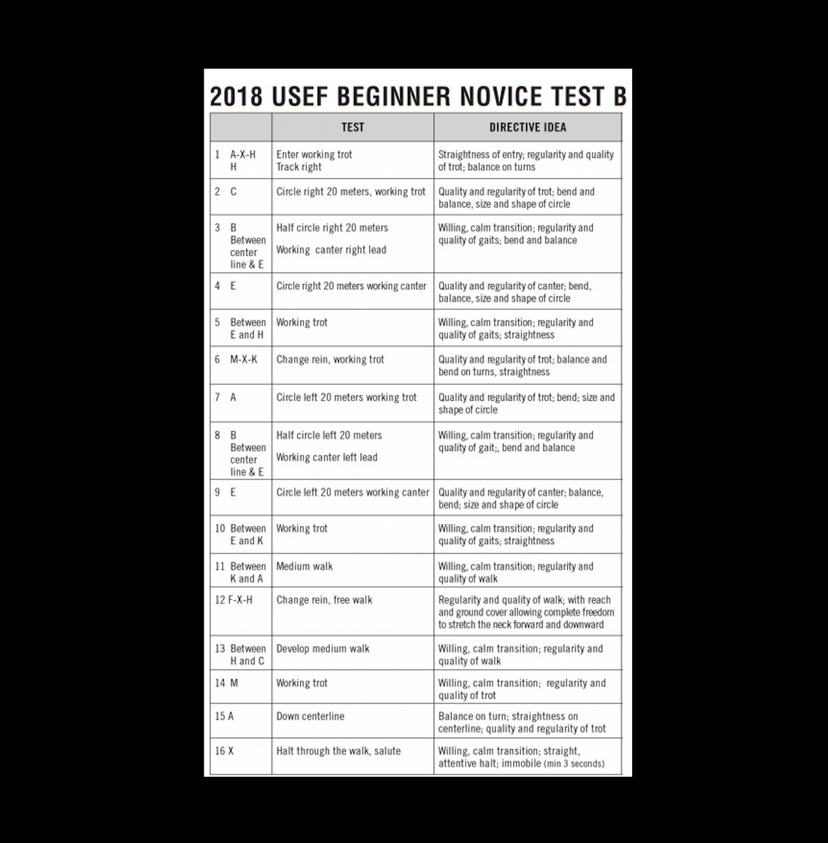 10 Ways to Improve Your Dressage Scores