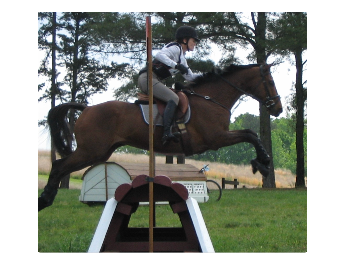 Riding the Timid Jumper