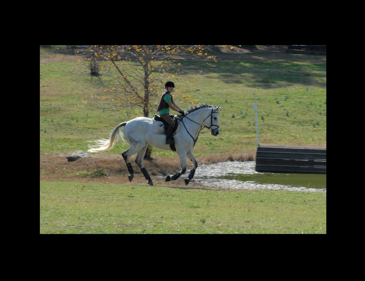 The Horse That Carries Tension in its Back