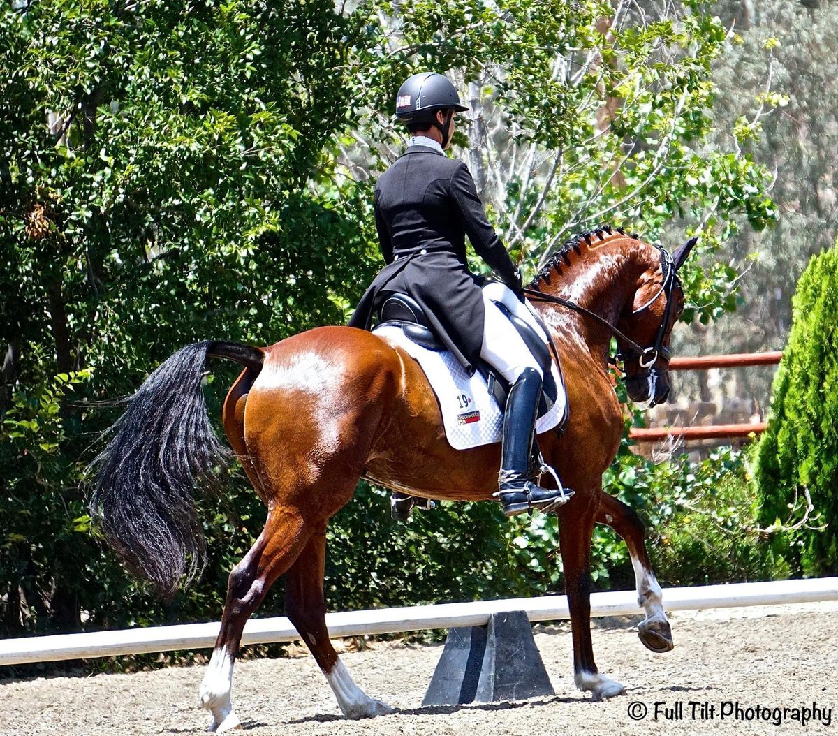 Introducing the Counter Canter
