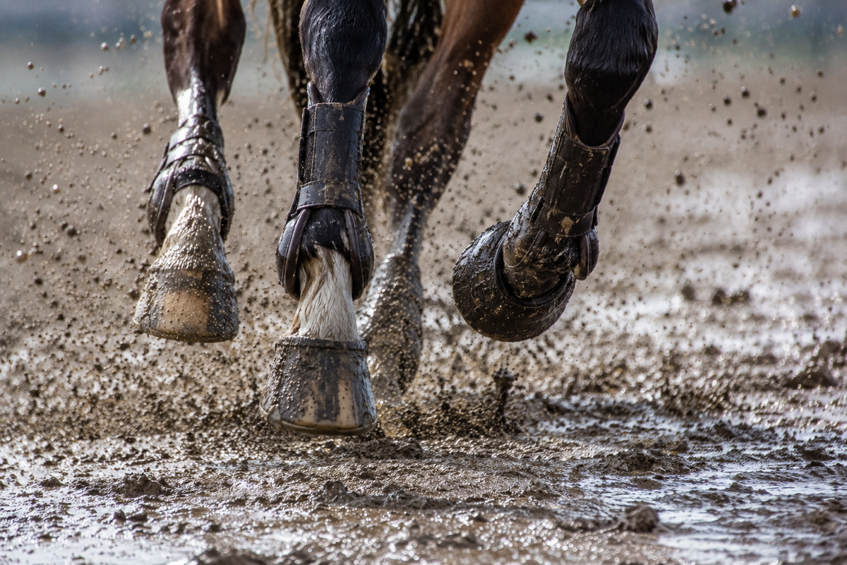Jumping in Muddy Conditions