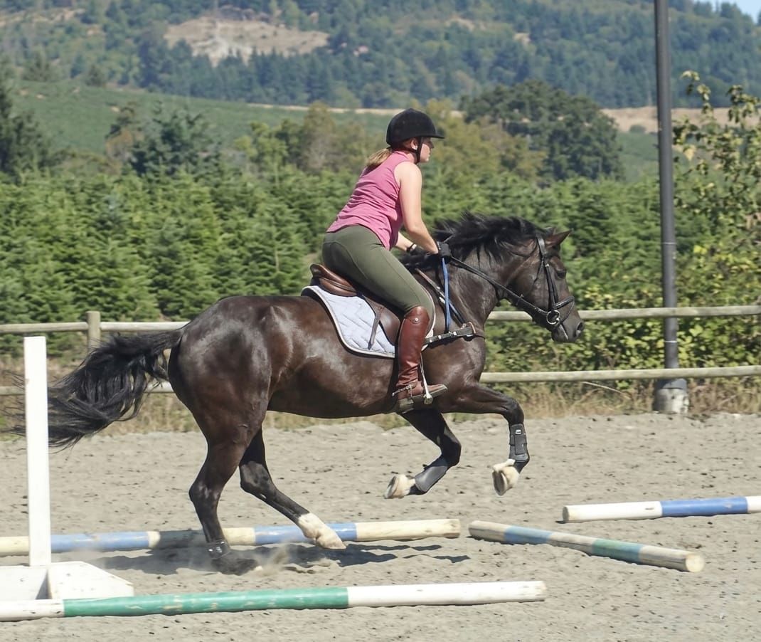 Learn How to Judge the Length of Your Canter Stride When Jumping