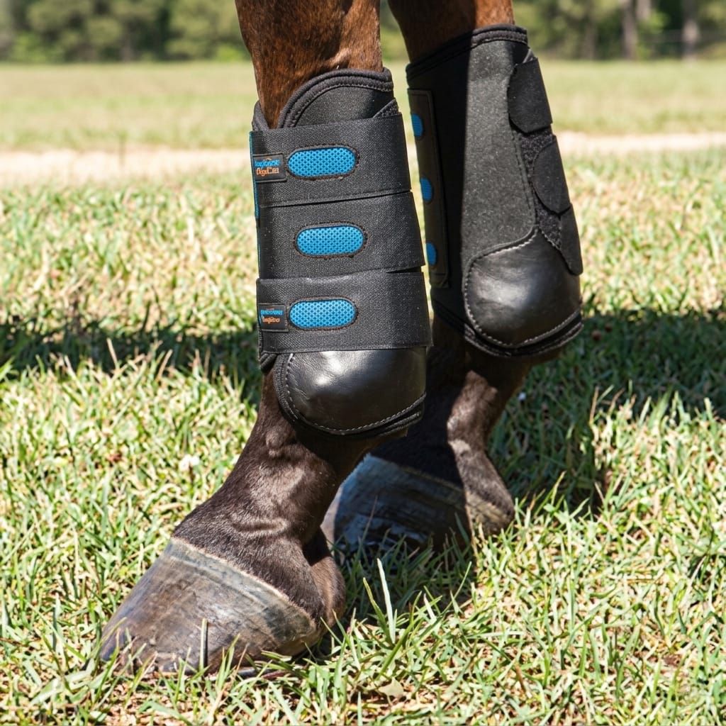 Leg Protection For the Event Horse