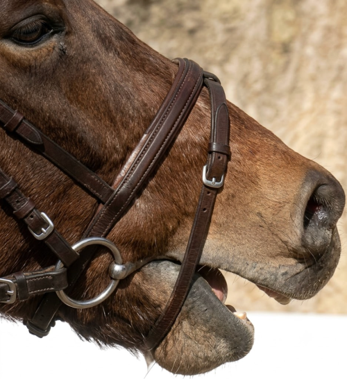 Resistance in the Bridle