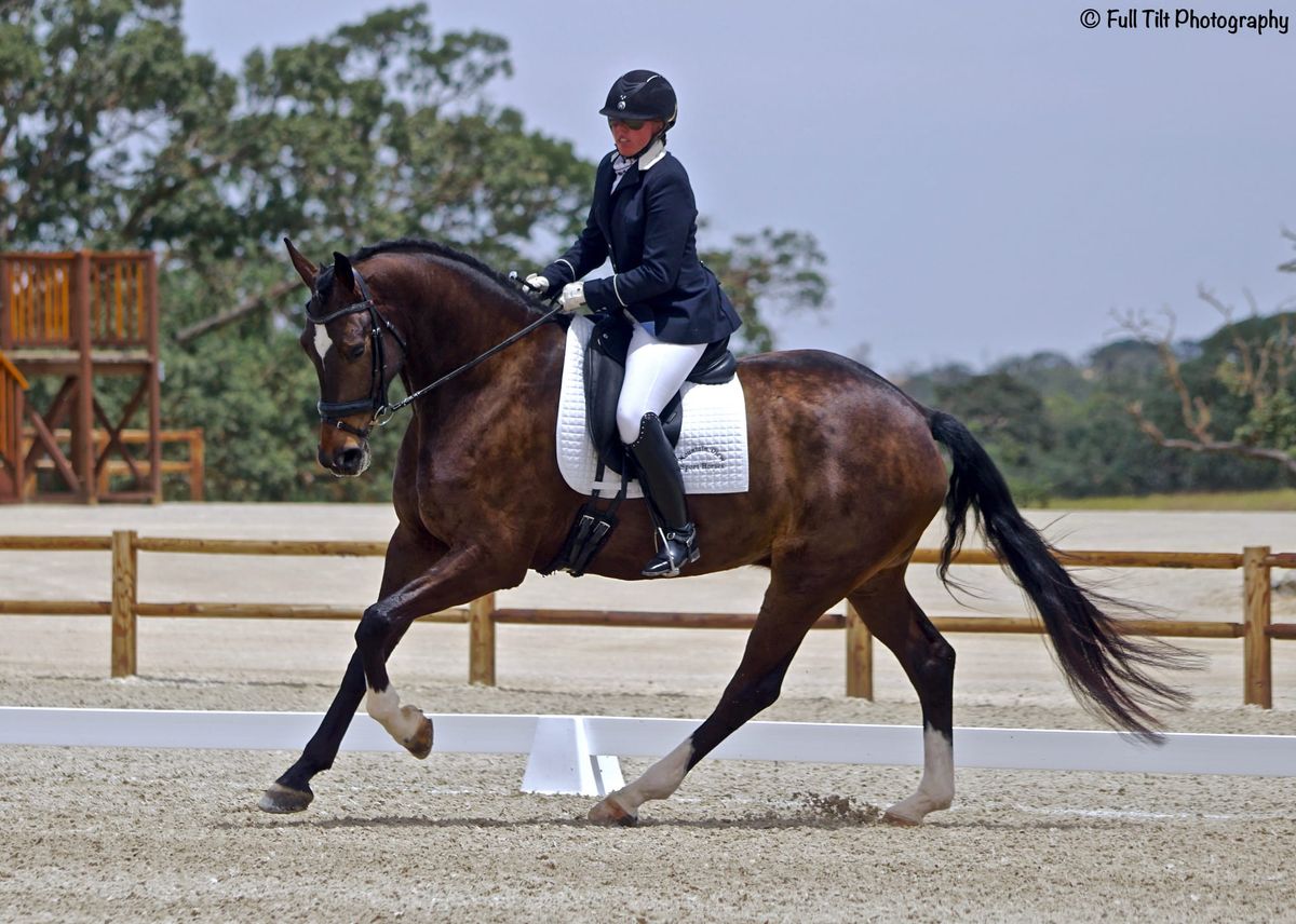 How to Build Strength in Your Horse's Canter