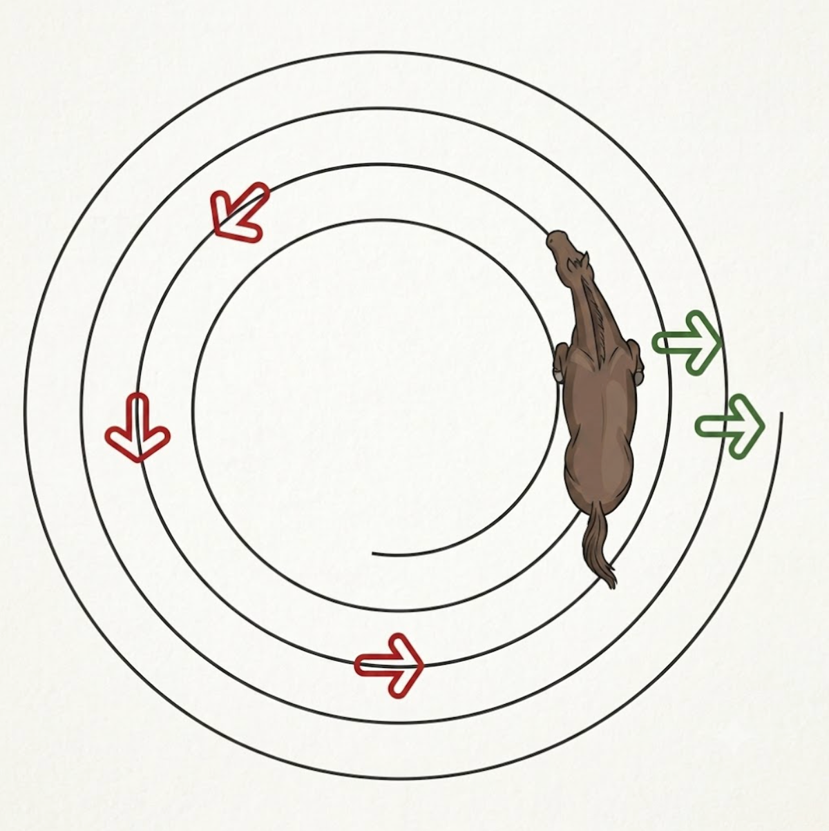 Spiral In and Out on a Circle