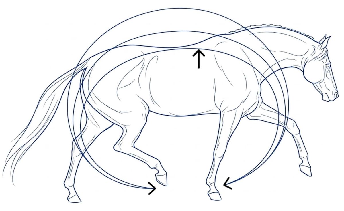 Impulsion Defined