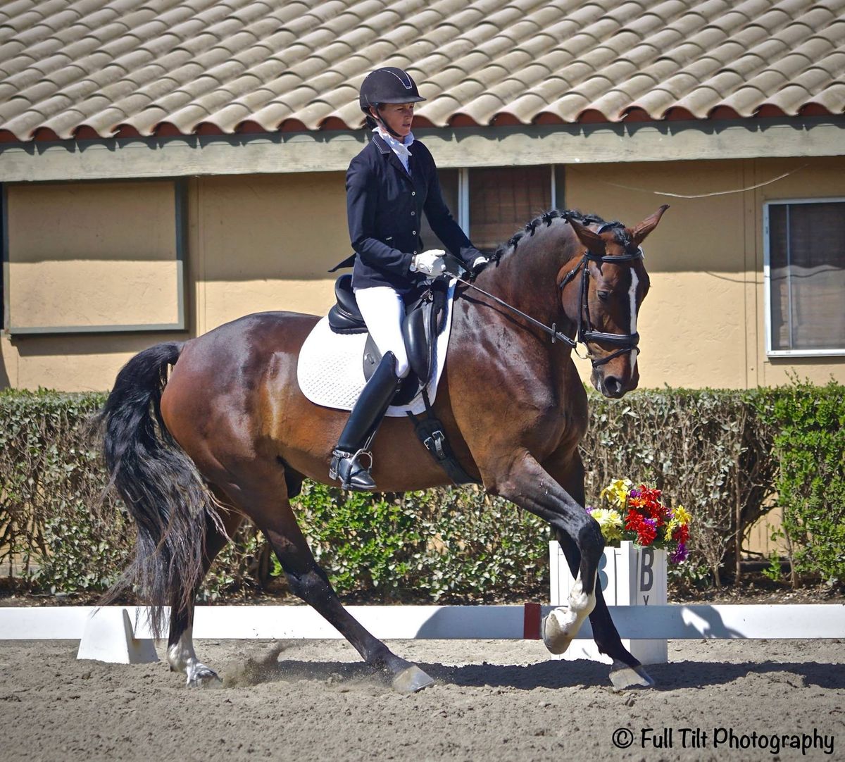 Ruth's Blog post # 5: Connection Issues in Canter Transitions