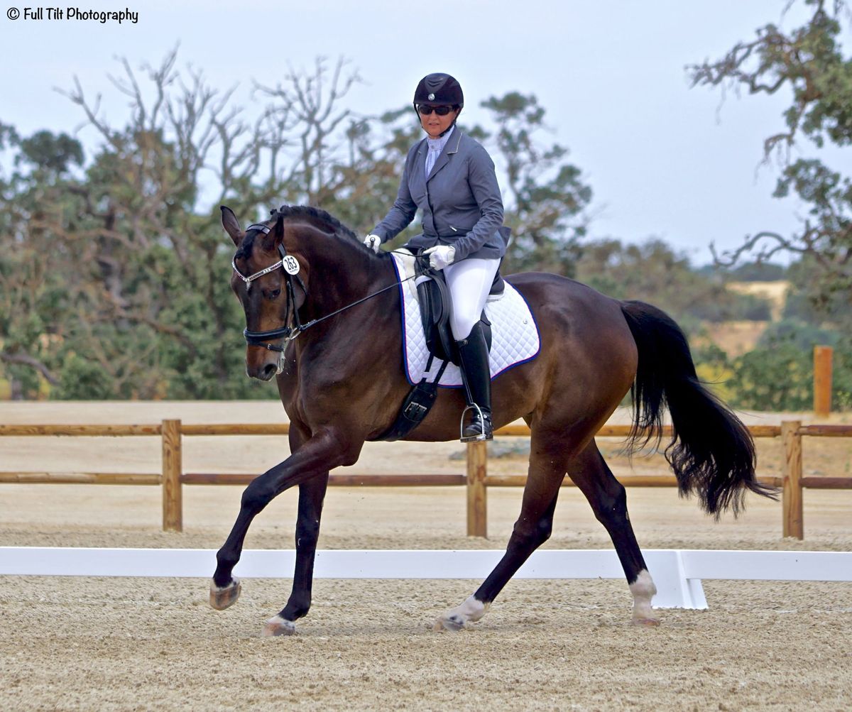 Improving Canter Departs