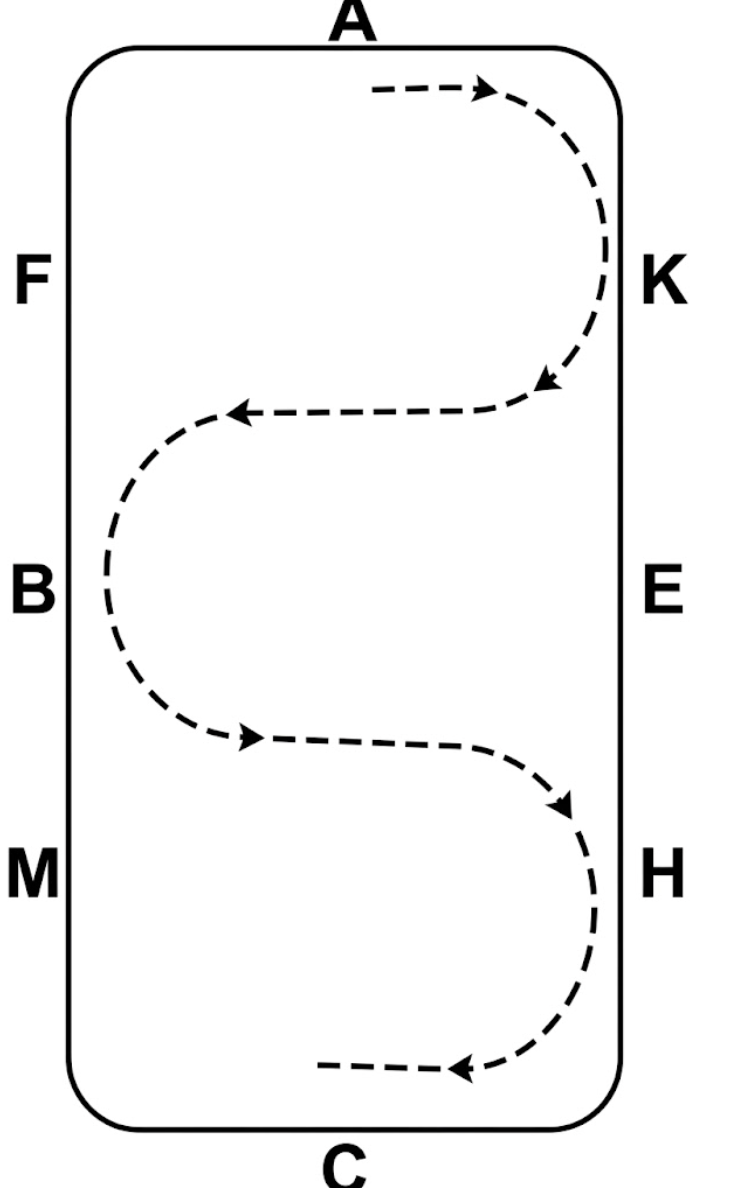 A Very Useful Version of the Serpentine Exercise
