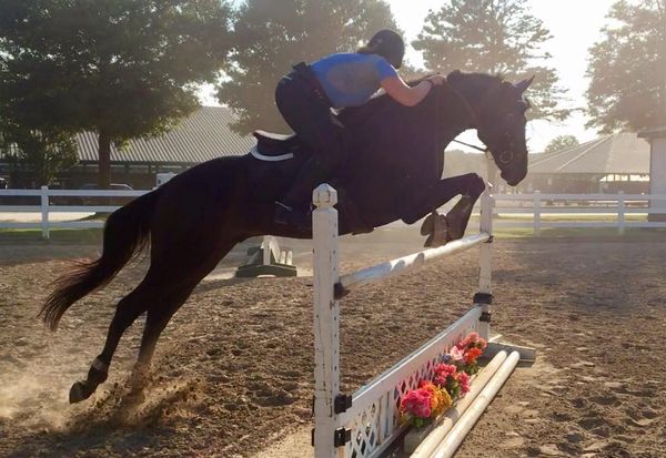 The Benefits of Jumping Fences at Sharp Angles