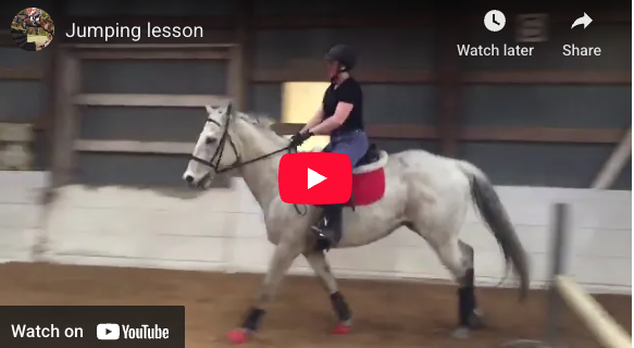 Video # 317: This is Jessica and her horse, Dancer, having a jumping lesson!