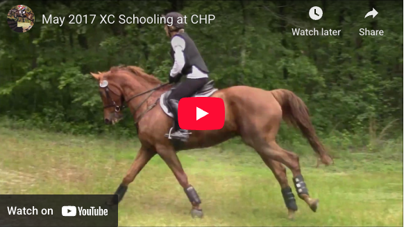Video # 100: This is Susanne and her lovely horse enjoying some cross country schooling!