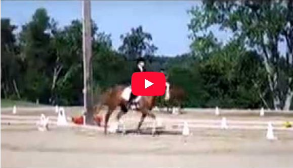 Video # 69: This is Kellyn and her horse Rowan performing Novice Test A!