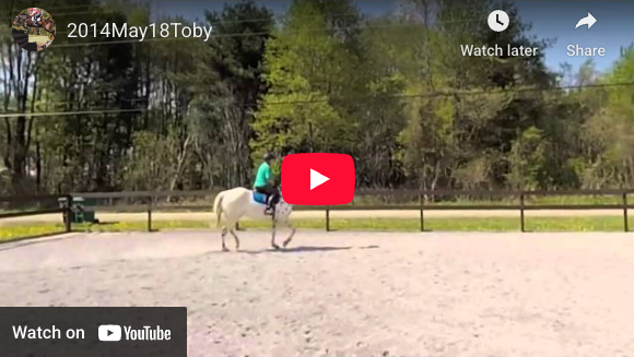 Video # 65: This is Vita and Toby!