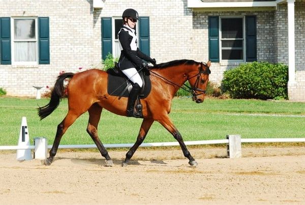 Are You a Decisive Rider?