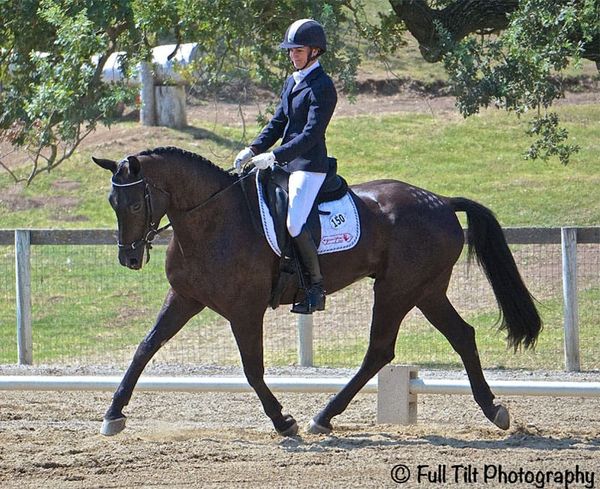 Improving the Trot