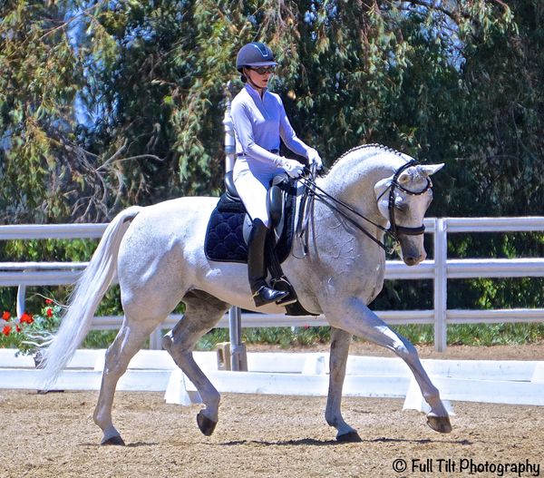 The BEST Exercise to Loosen Up Your Horse's Tight Lower Back Area