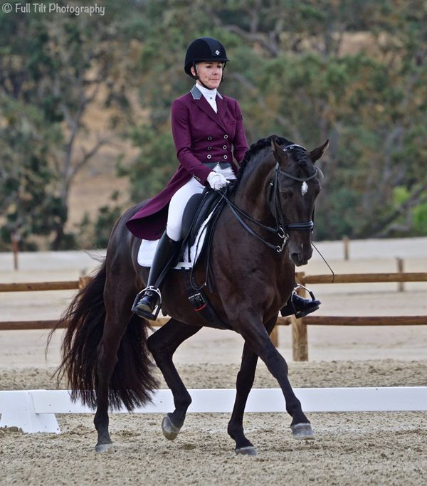 Trot Lengthenings