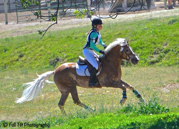 How Many Gears Do You Have in the Canter?
