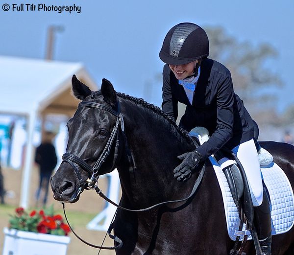 Help to Ensure That Your Horse LIKES His or Her Job!