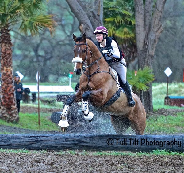 The Great Debate - To Look For a Distance or Focus on the Quality of the Canter When Jumping      (Current freebie!)