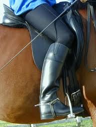 Rider Leg Aids