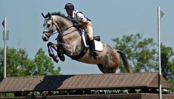 Ride Every Fence!