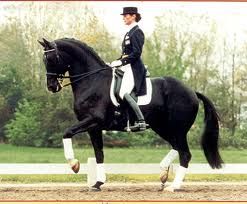 The "Floor" of Your Dressage Seat