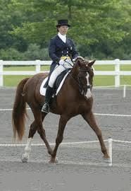 The Outside Rein