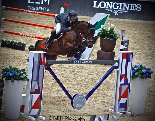 Trotting Fences