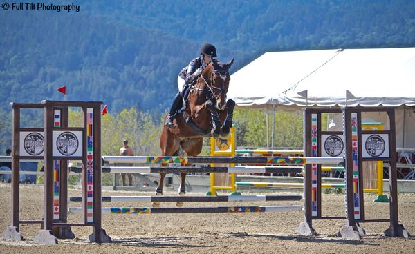 Jumping Rideability Exercise # 3
