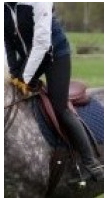 The New Galloping Position Fad