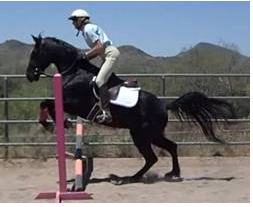 Walking Jumps